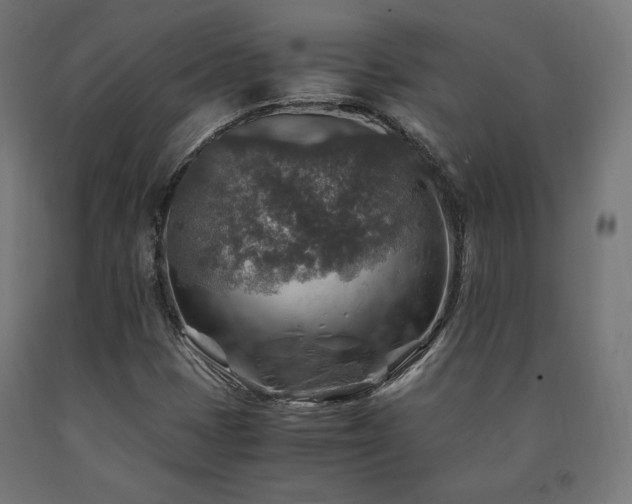 X0000091011401200708021538