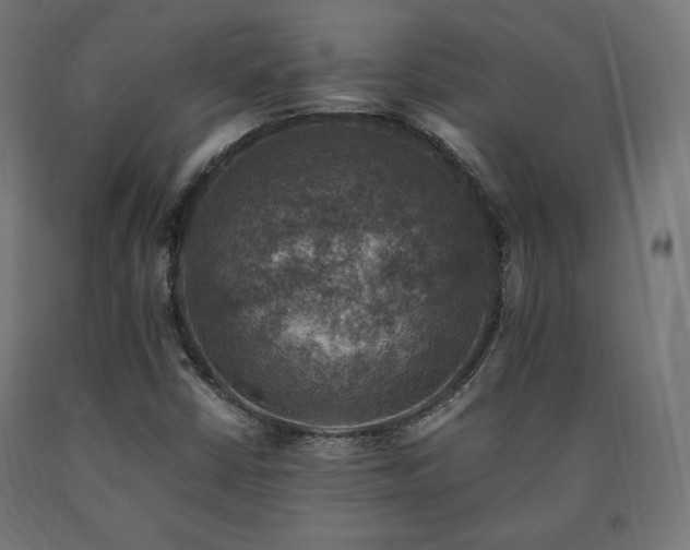 X0000091011402200708021538