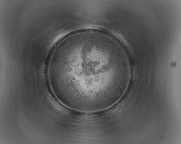 X0000091011404200708021538
