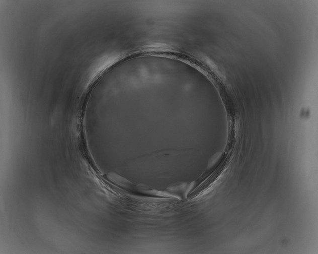 X0000091011405200708021538