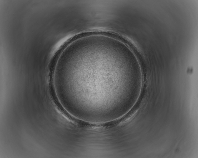 X0000091011406200708021538