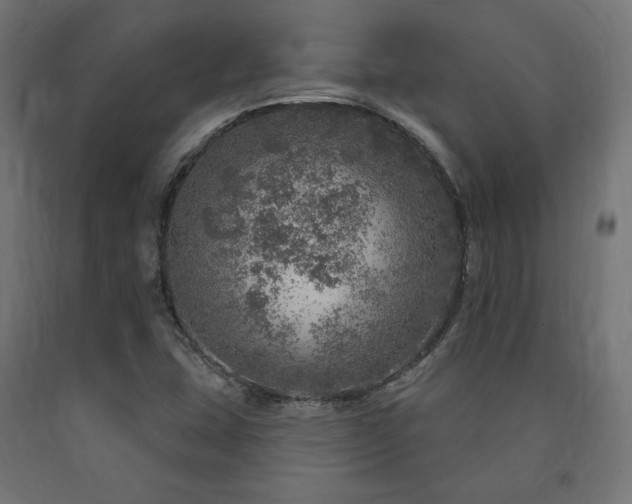 X0000091011407200708021538