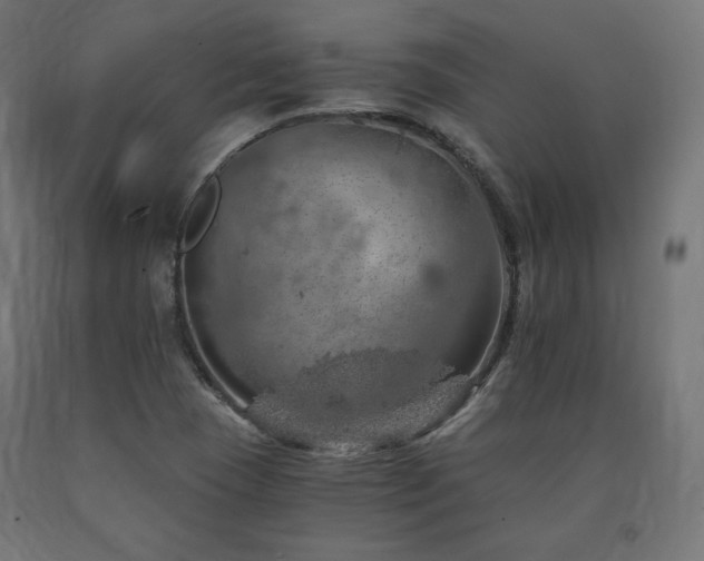 X0000091011409200708021539