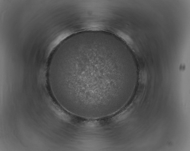 X0000091011410200708021539