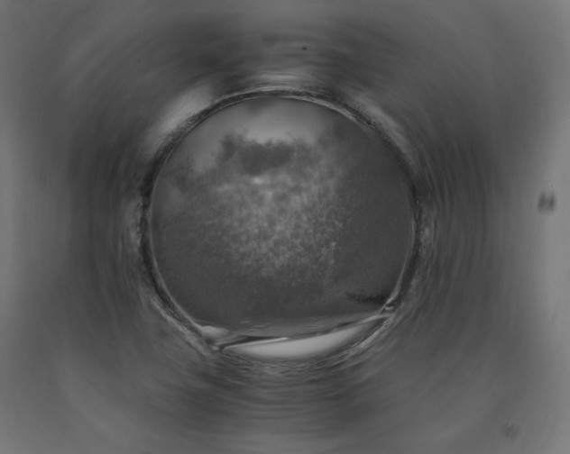 X0000091011411200708021539