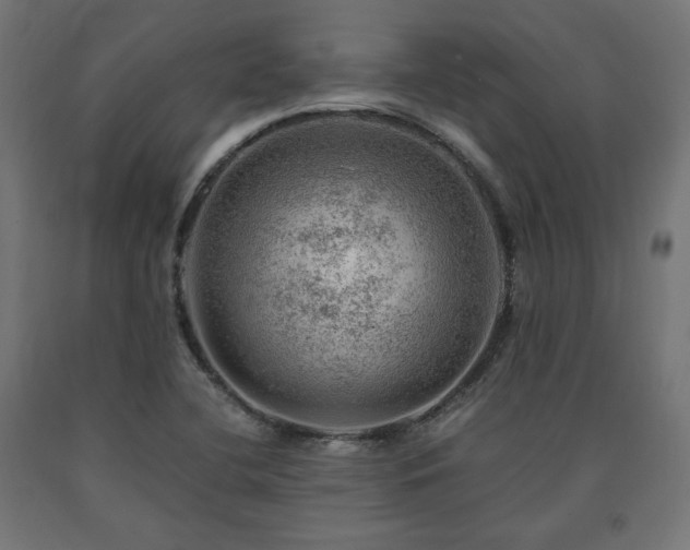 X0000091011412200708021539