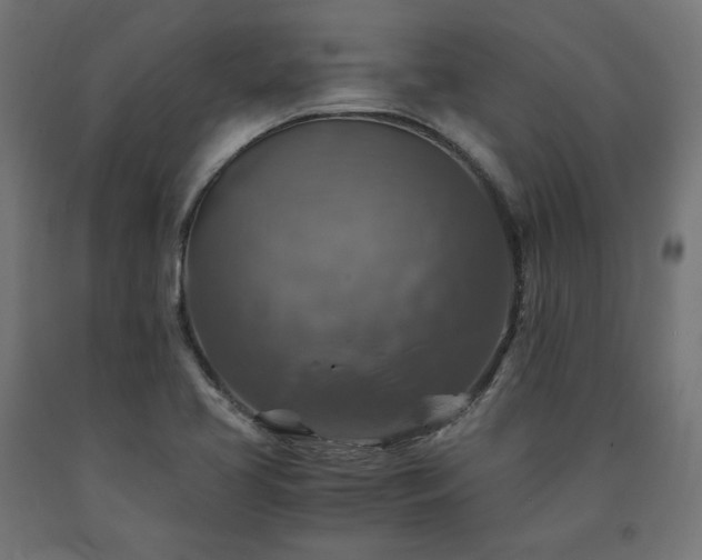 X0000091011413200708021539