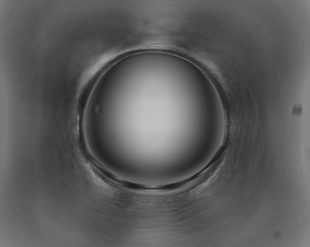 X0000091011414200708021539