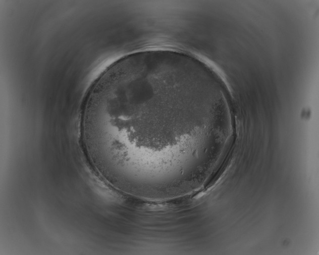 X0000091011415200708021539
