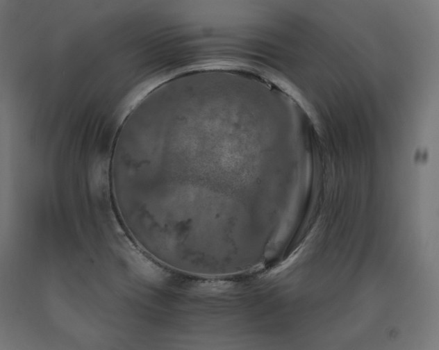X0000091011417200708021539