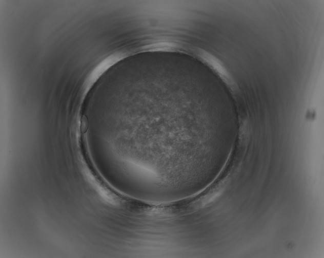 X0000091011418200708021539