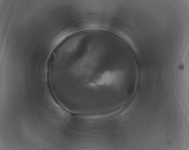 X0000091011419200708021539