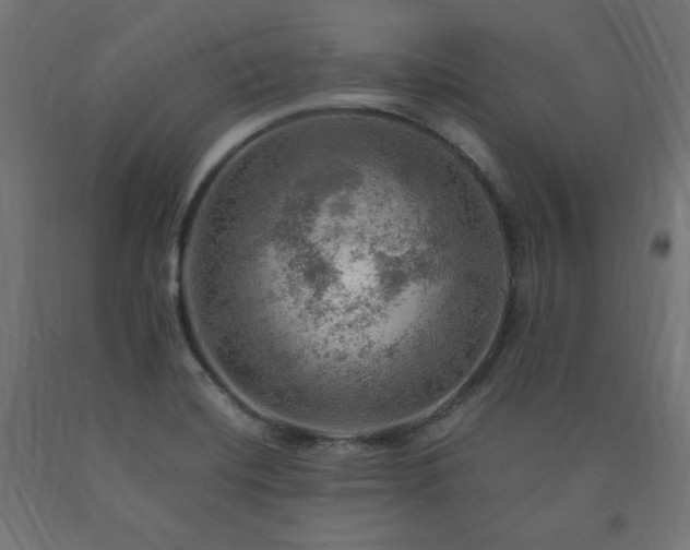 X0000091011420200708021539