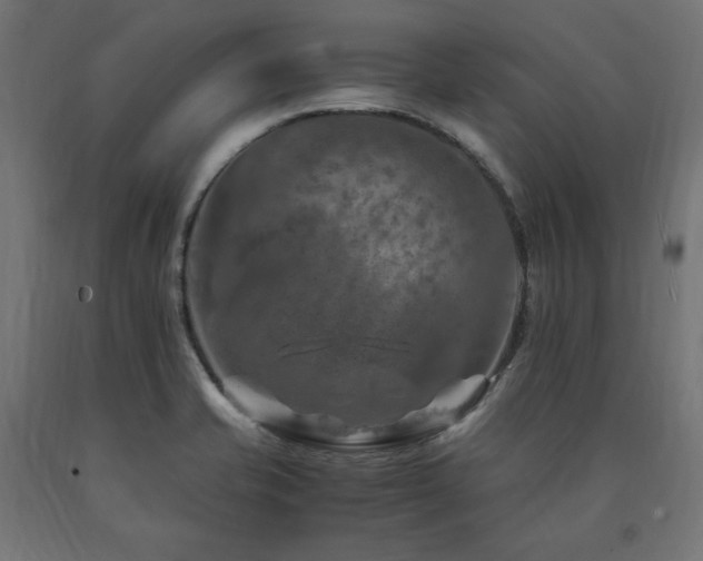 X0000091011421200708021539