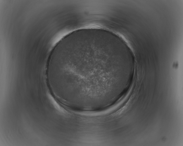 X0000091011422200708021539