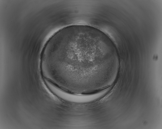 X0000091011424200708021539