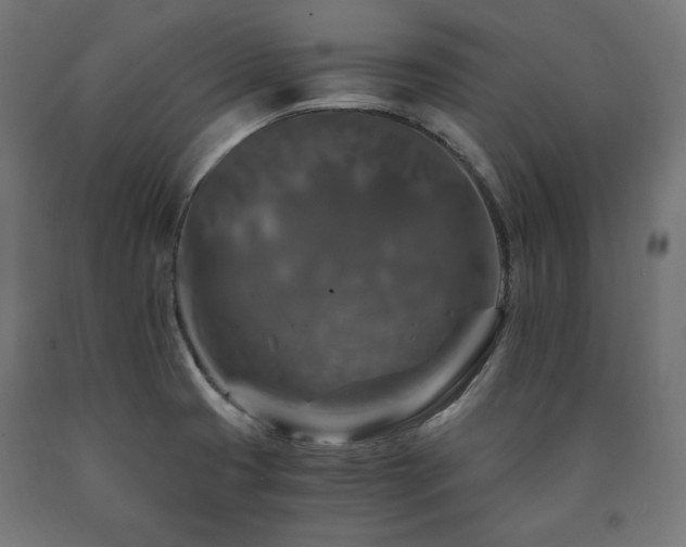 X0000091011425200708021539