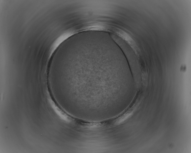 X0000091011426200708021539