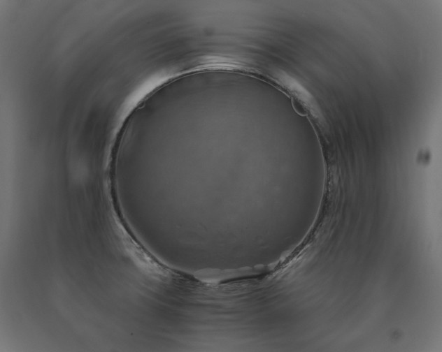 X0000091011427200708021539