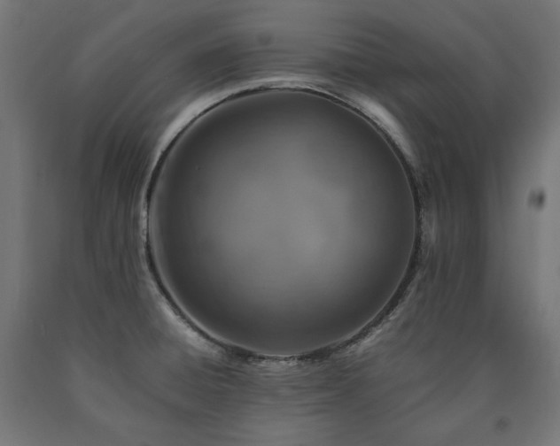 X0000091011428200708021539