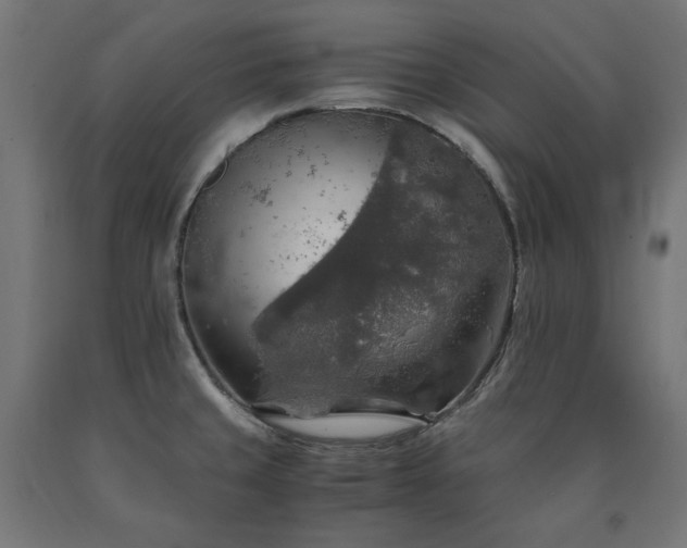 X0000091011429200708021539