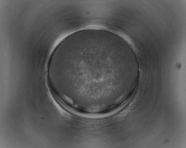 X0000091011430200708021539