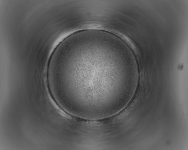 X0000091011432200708021539