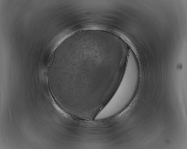 X0000091011433200708021539