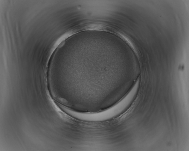 X0000091011434200708021539