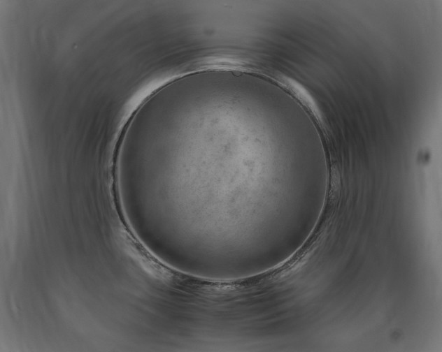 X0000091011435200708021539