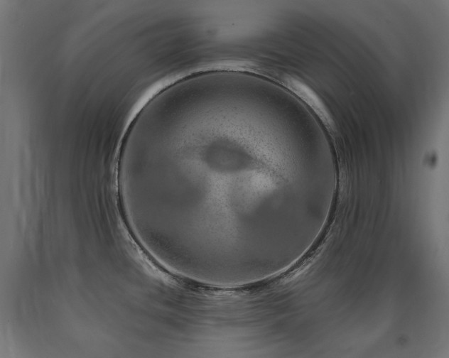 X0000091011436200708021539