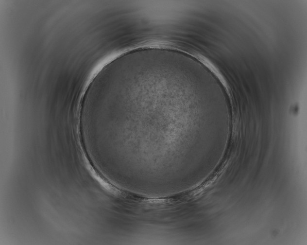X0000091011437200708021539