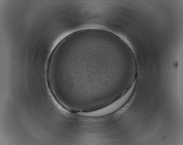 X0000091011438200708021539