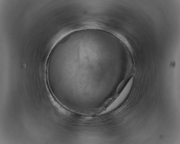 X0000091011439200708021539