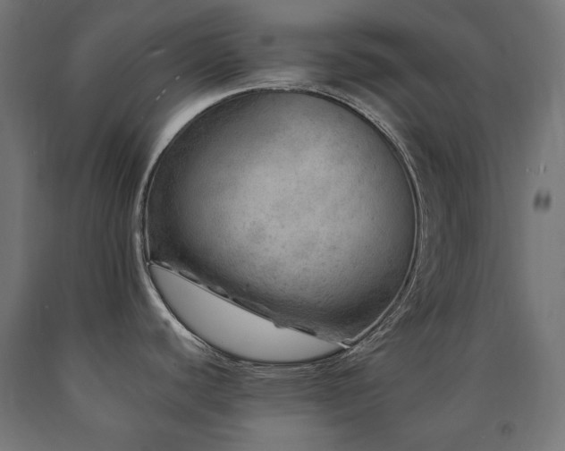 X0000091011440200708021539