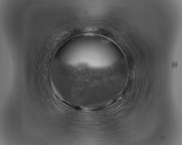 X0000091011441200708021538