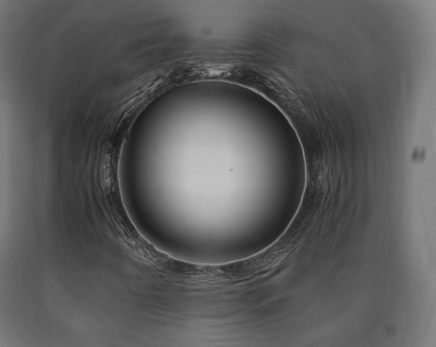 X0000091011442200708021538