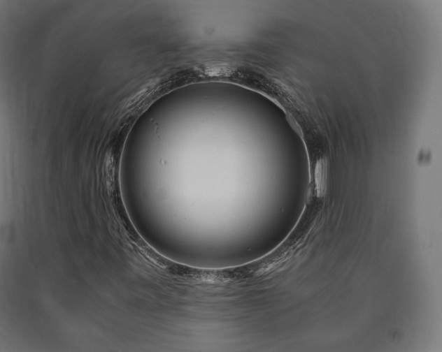 X0000091011443200708021538