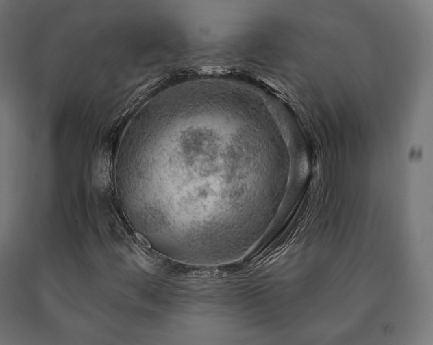 X0000091011444200708021538