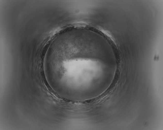 X0000091011445200708021538