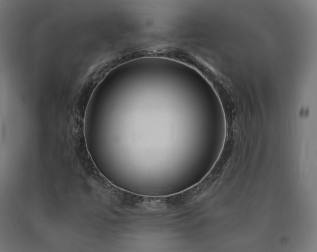 X0000091011447200708021538
