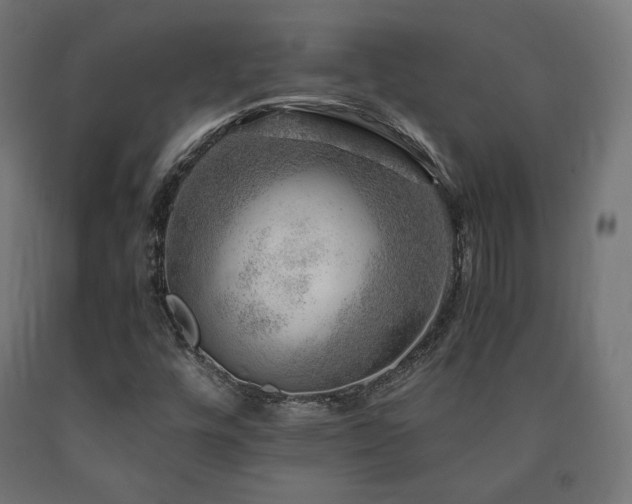 X0000091011448200708021538