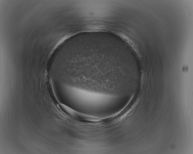 X0000091011449200708021538