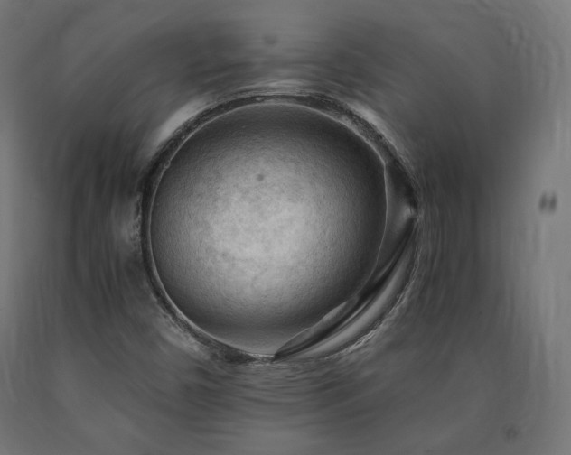 X0000091011450200708021538