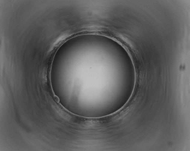 X0000091011451200708021538