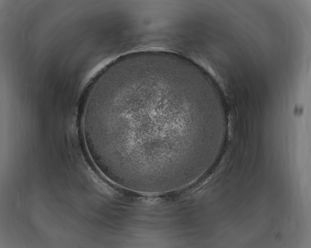 X0000091011452200708021538