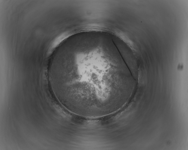 X0000091011453200708021538