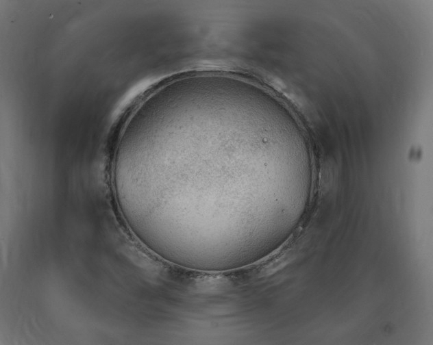 X0000091011454200708021538