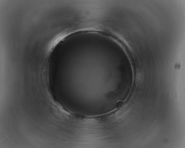 X0000091011455200708021538