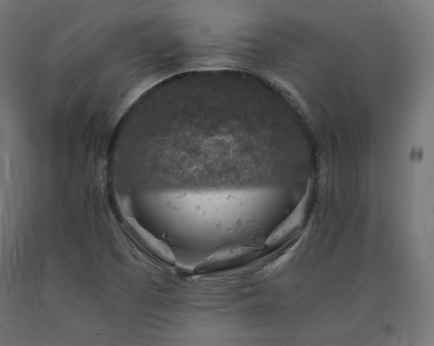 X0000091011457200708021538